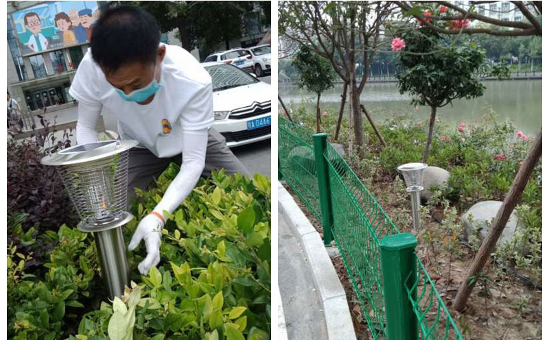 西安某醫院戶外滅蚊燈案例
